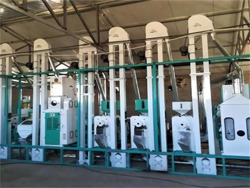新型小型稻米油压榨设备工艺，分类与原理解析